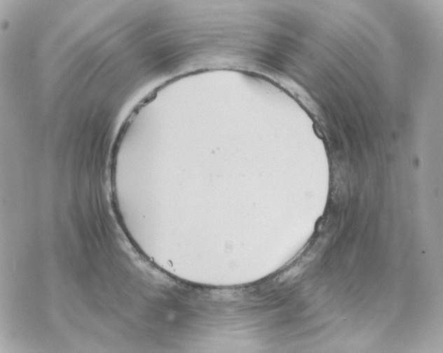 X0000069830904200606161937