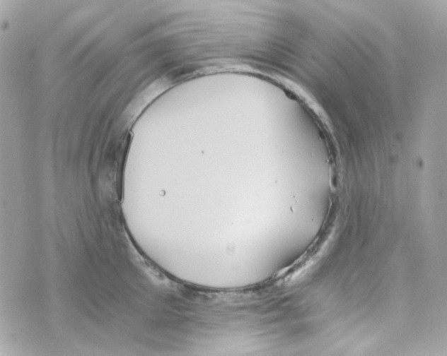 X0000069830905200606161937