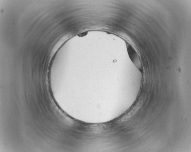 X0000069830906200606161937