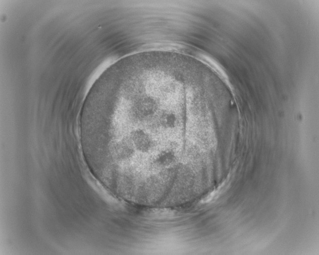 X0000069830907200606161937