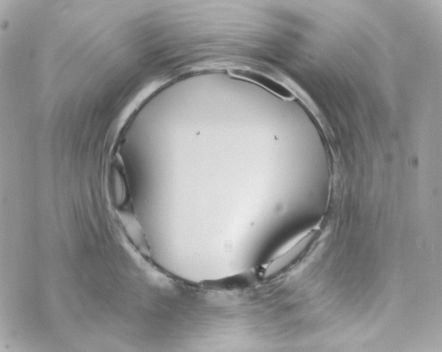 X0000069830909200606161937