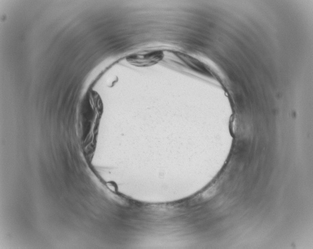 X0000069830910200606161937