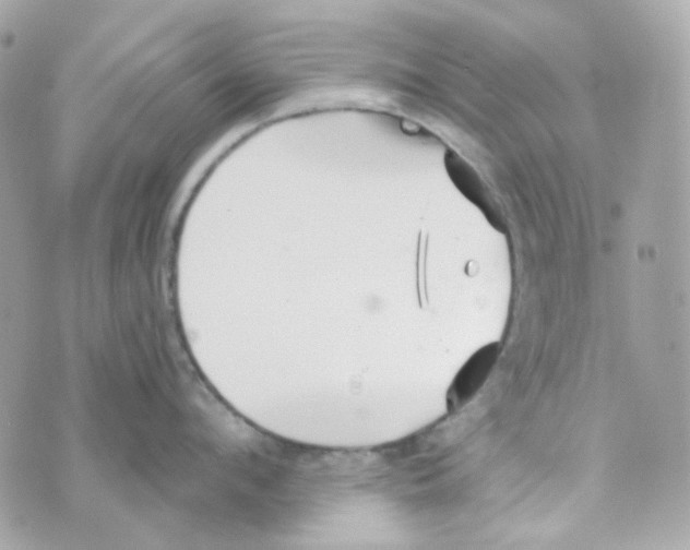 X0000069830912200606161937