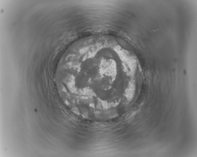 X0000069830913200606161936