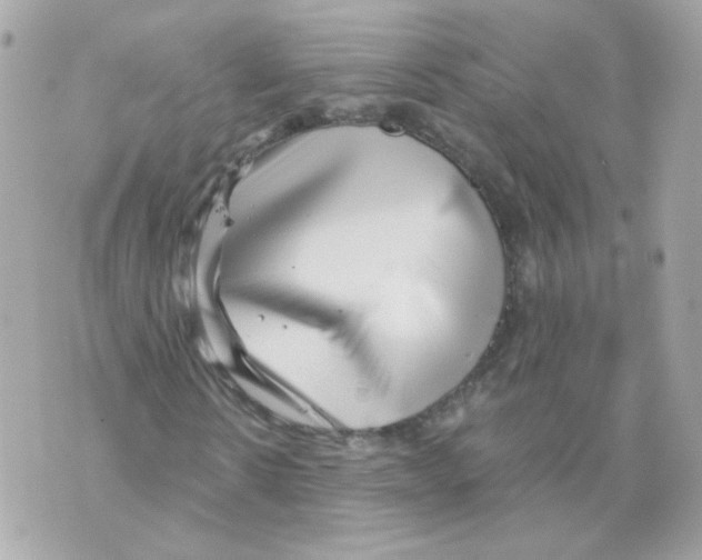 X0000069830914200606161936