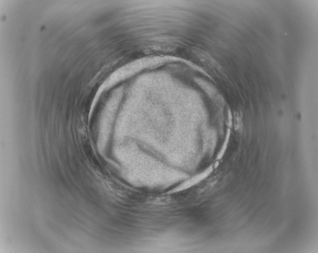 X0000069830915200606161936