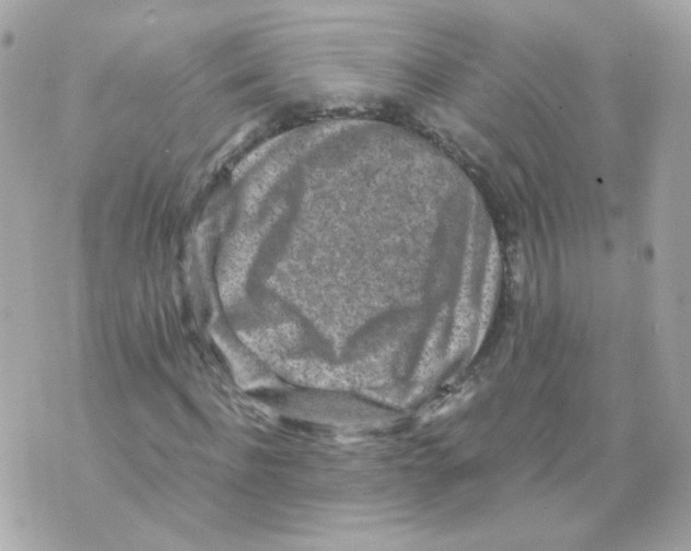 X0000069830916200606161936