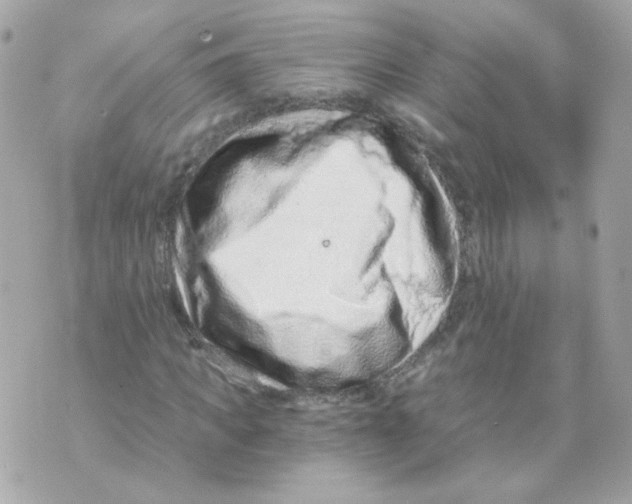 X0000069830917200606161936