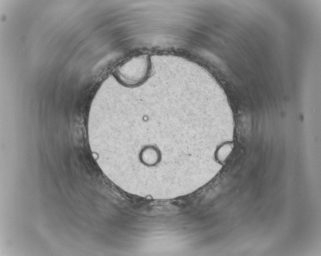 X0000069830918200606161936