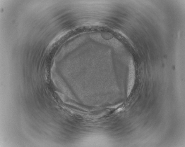 X0000069830919200606161936