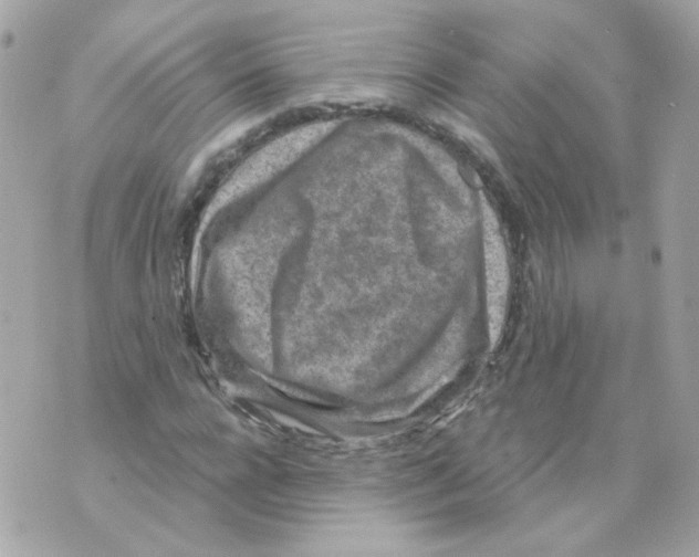 X0000069830920200606161936