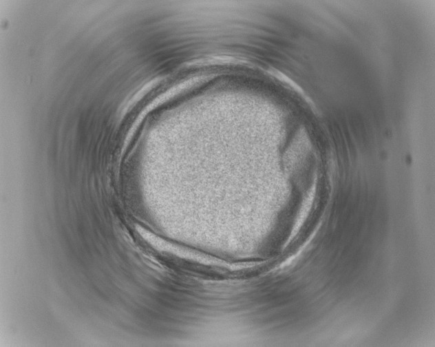 X0000069830921200606161936