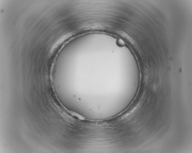 X0000069830922200606161936