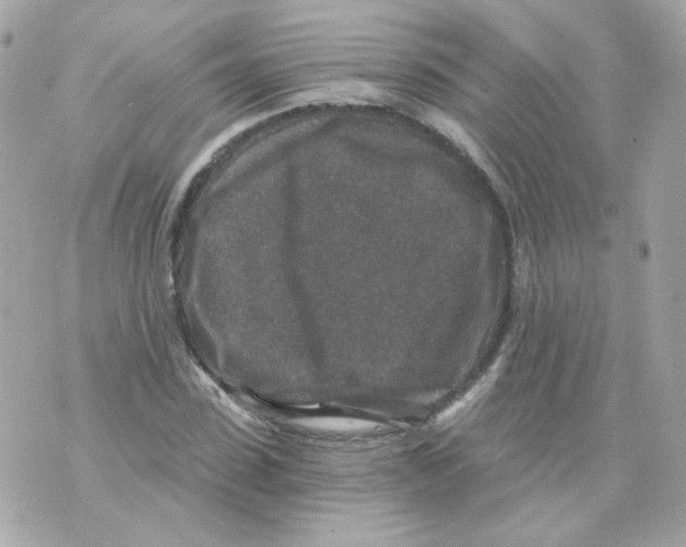 X0000069830923200606161936