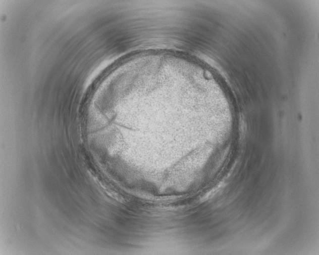 X0000069830925200606161936