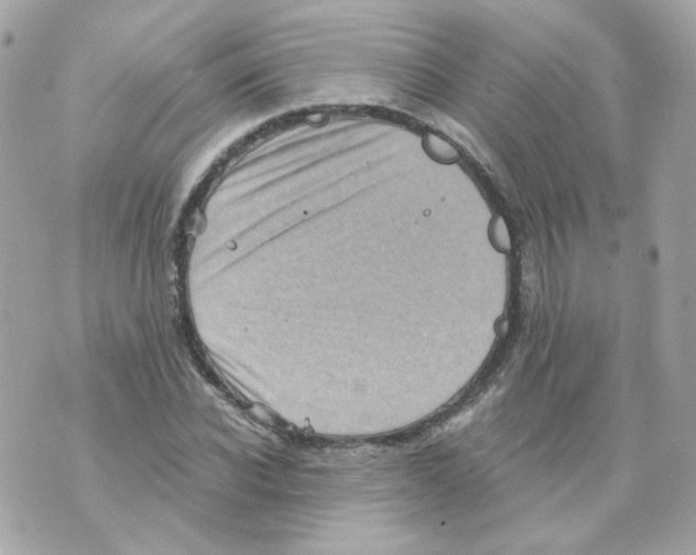 X0000069830926200606161936