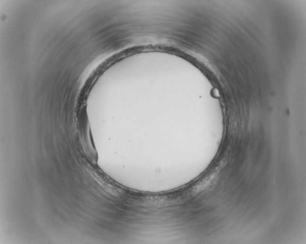 X0000069830927200606161936