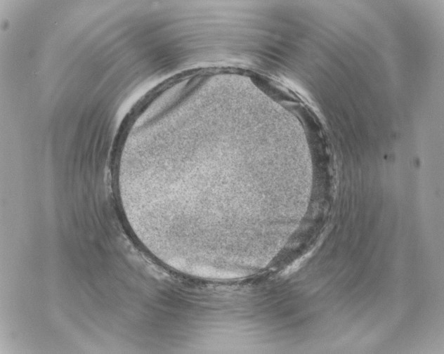 X0000069830928200606161936