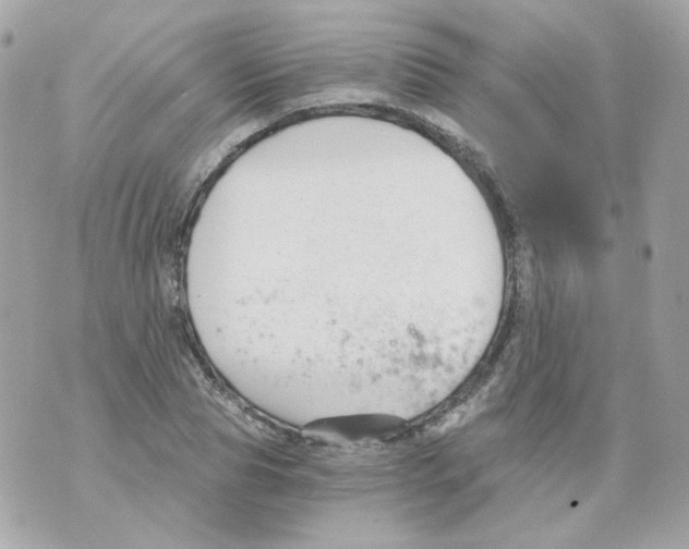 X0000069830929200606161936