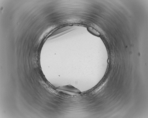 X0000069830930200606161936