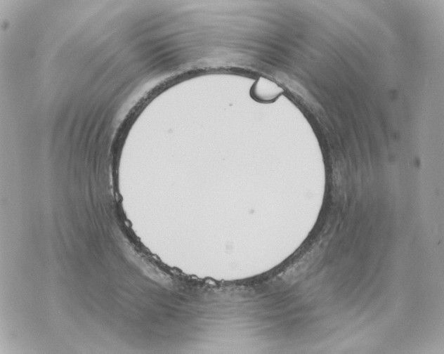 X0000069830934200606161936