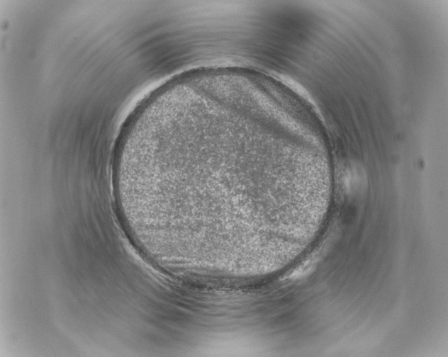 X0000069830935200606161936