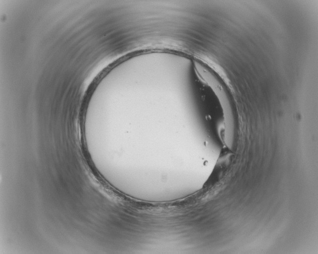 X0000069830936200606161936