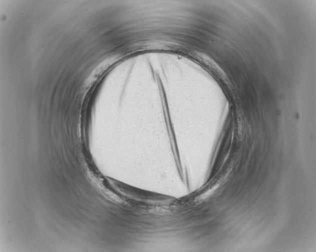 X0000069830938200606161937