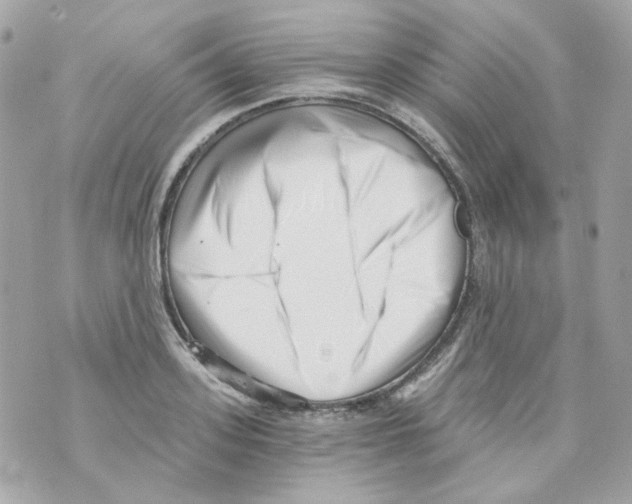 X0000069830939200606161937