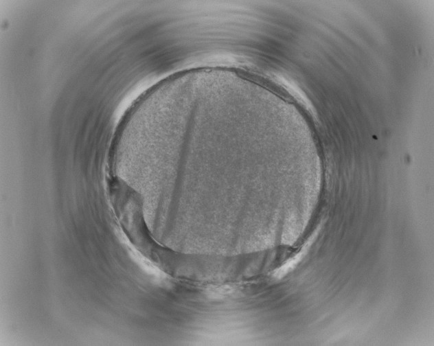 X0000069830944200606161937