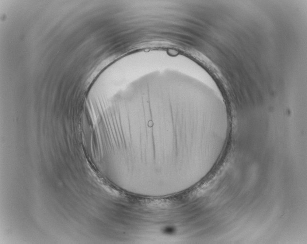 X0000069830945200606161937