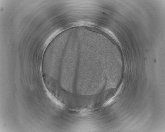 X0000069830946200606161937