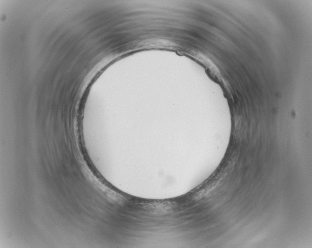 X0000069830947200606161937