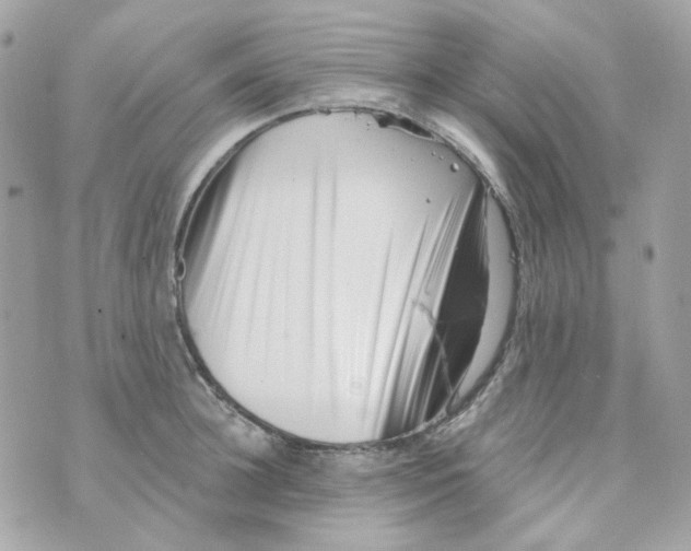 X0000069830948200606161937