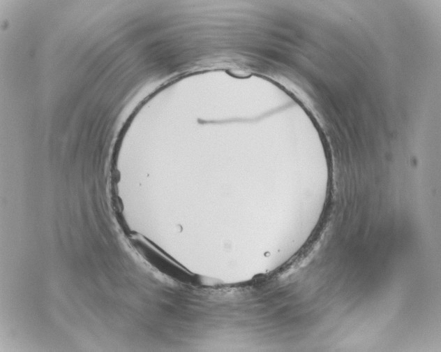 X0000069830949200606161937