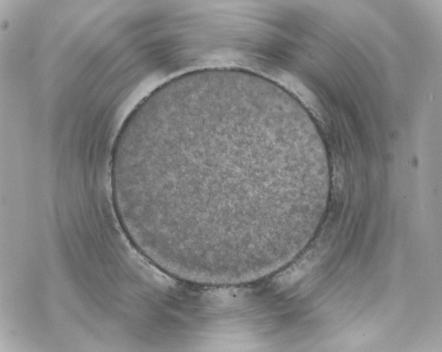 X0000069830950200606161937