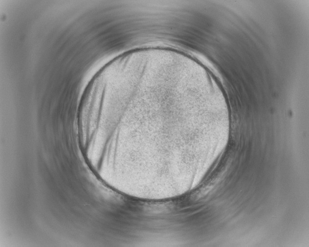 X0000069830951200606161937