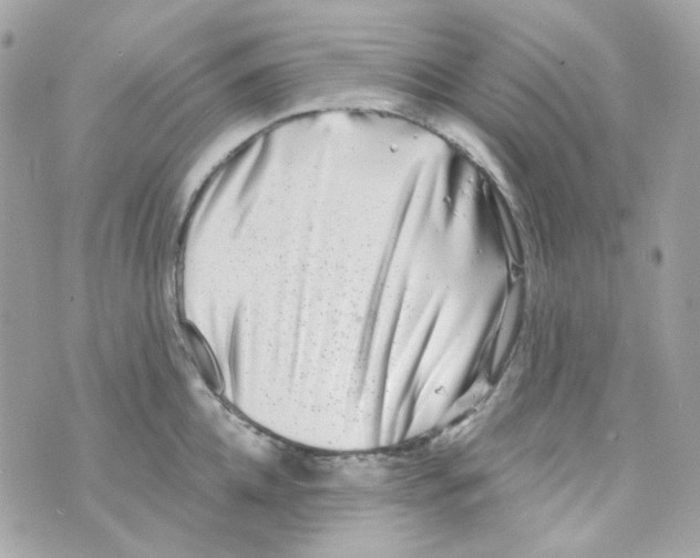 X0000069830952200606161937