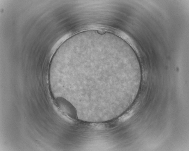 X0000069830954200606161937