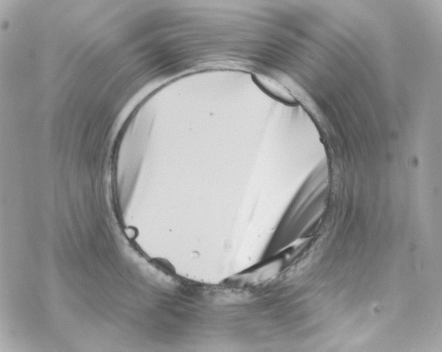 X0000069830955200606161937