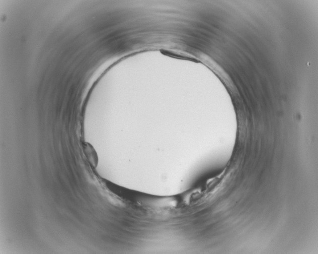 X0000069830956200606161937