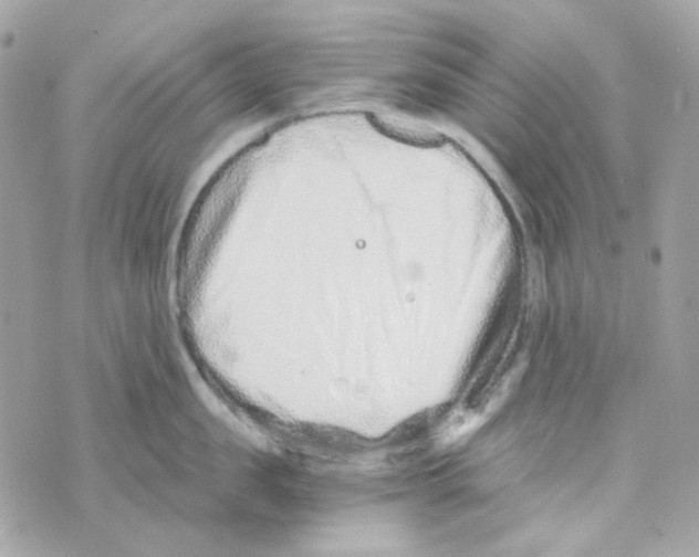 X0000069830957200606161937