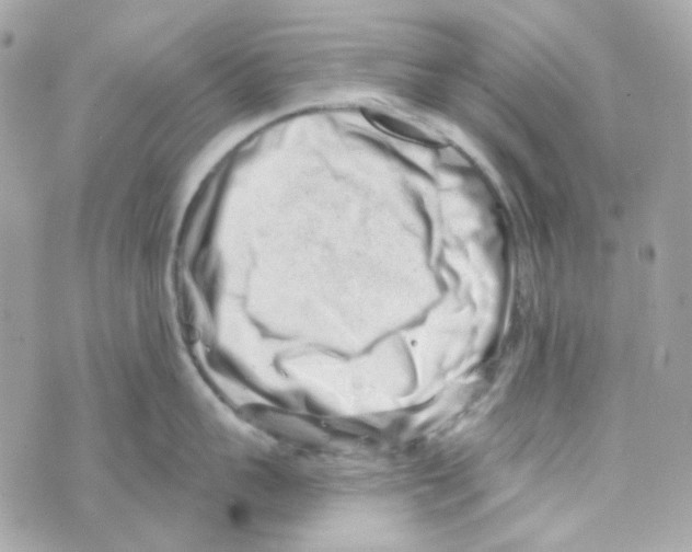 X0000069830959200606161937