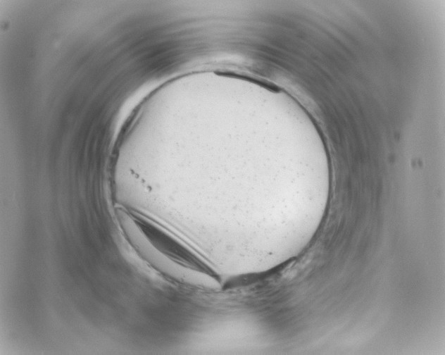 X0000069830960200606161937