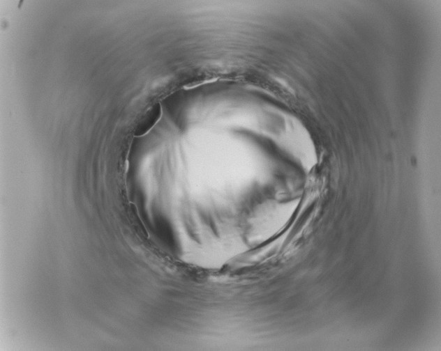 X0000069830961200606161936