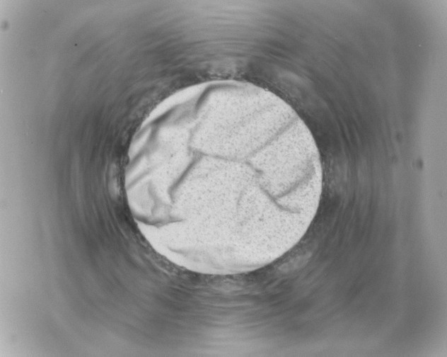 X0000069830962200606161936