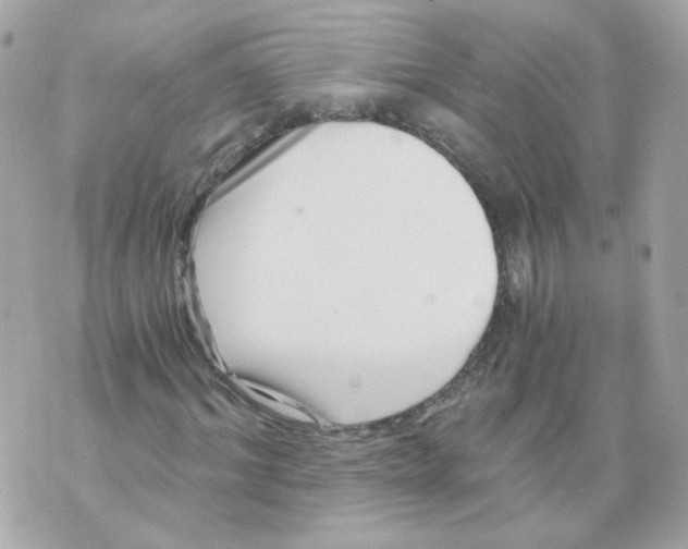 X0000069830964200606161936