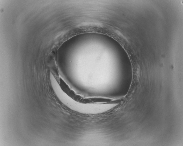 X0000069830965200606161936