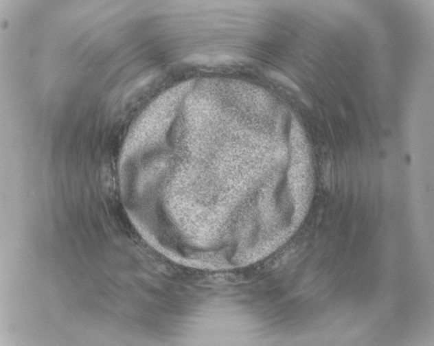 X0000069830966200606161936