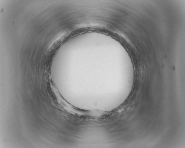 X0000069830967200606161936